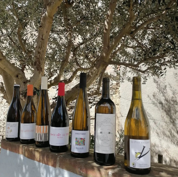 cave à vin à Chemillé-en-Anjou dans le Maine-et-Loire 49