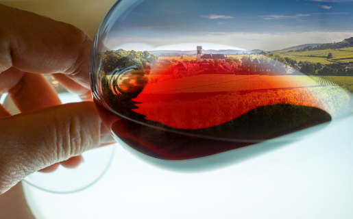 vin à Chemillé-en-Anjou dans le Maine-et-Loire 49